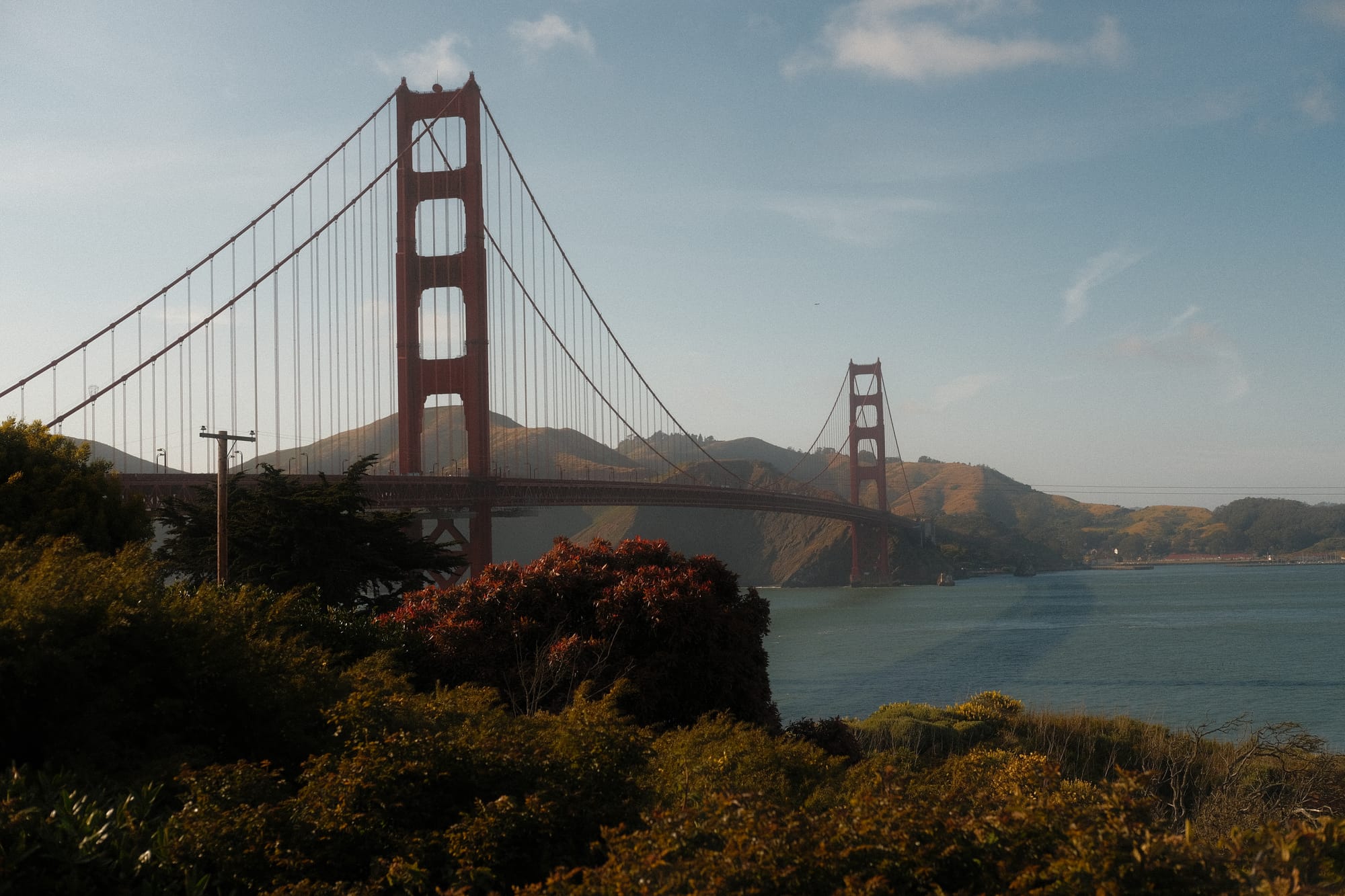 🌉
