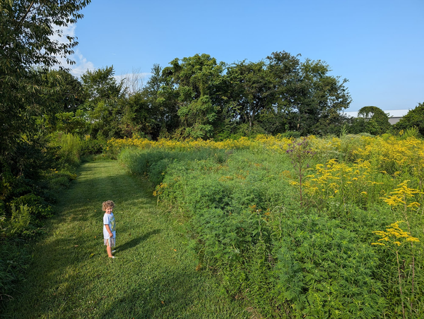 Yard walks and Ellie showing off her plants she’s helped water