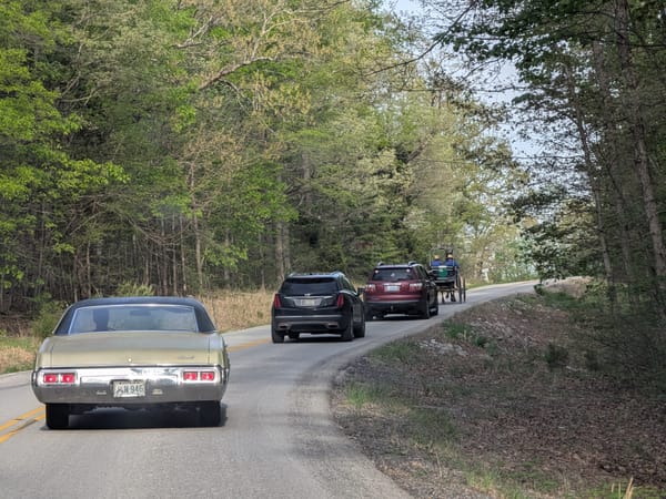 Kentucky traffic jam 🐴